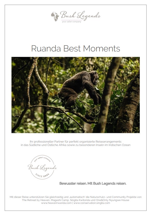 Gorilla Ruanda Reise