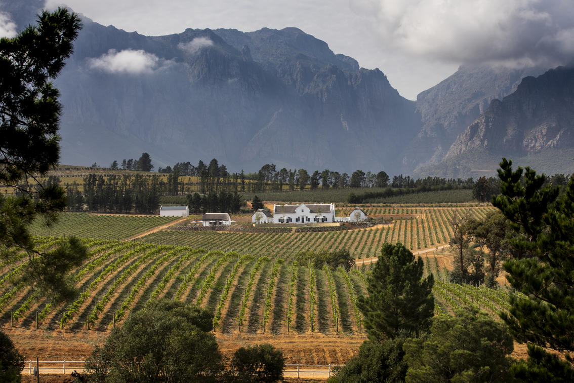 Weinberge und große Momente - Entdecken Sie die Winelands in Südafrika